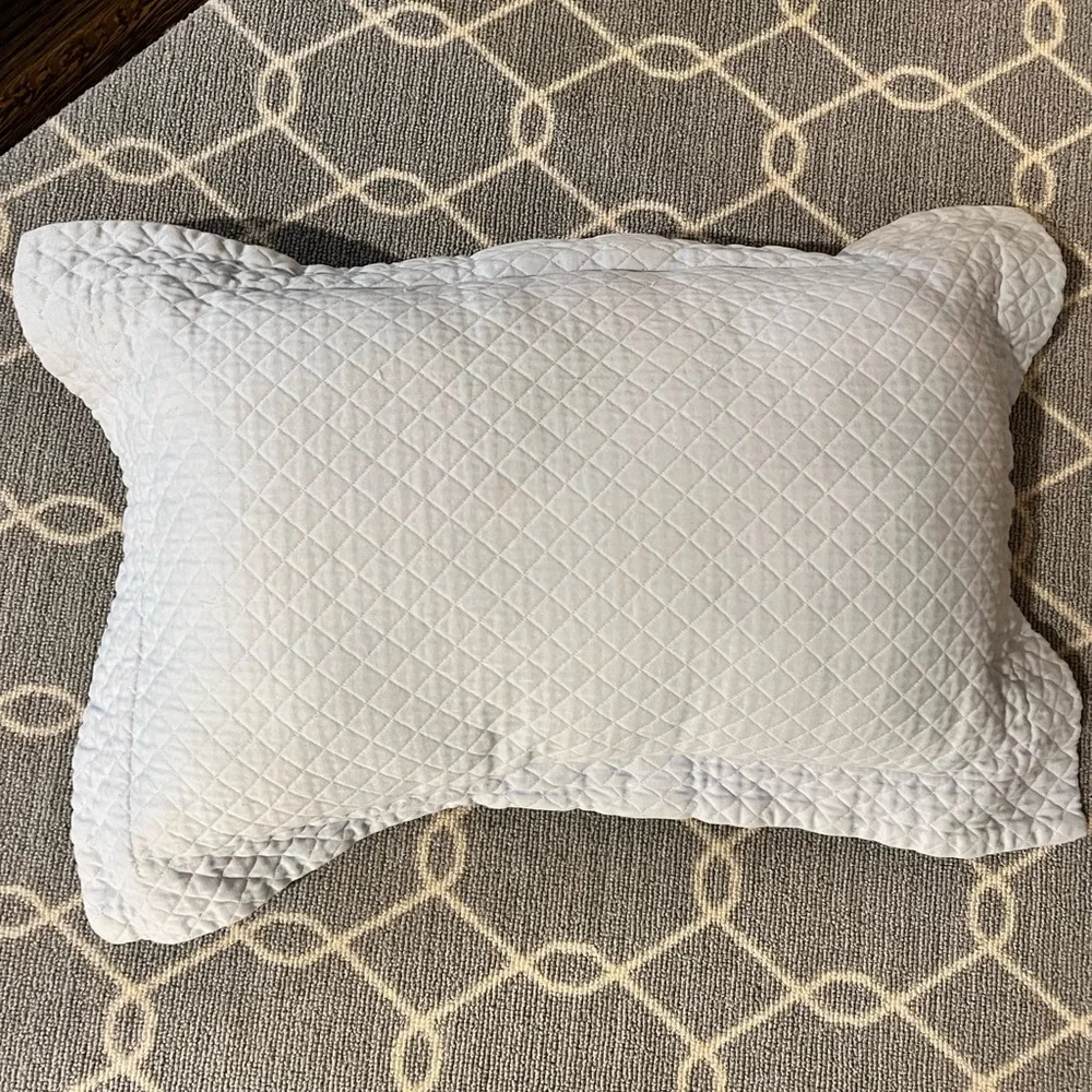 Restoration hardware light blue 2 duvet covers for twin 3window and pillow